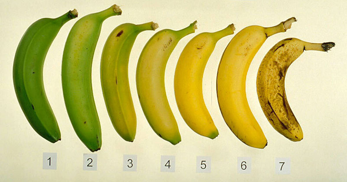 2015-10-30-why-you-should-eat-ripe-bananas-with-brown-spots-fb