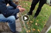 VIDEO: Vīrietis ielaužas svešā mājā un aiziet gulēt VIDEO: Vīrietis ielaužas svešā mājā un aiziet gulēt