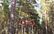 Skaisti pārgājienu maršruti Jūrmalā: vēsturiski sēravoti, Ragakāpa, Melnalkšņu dumbrājs Skaisti pārgājienu maršruti Jūrmalā: vēsturiski sēravoti, Ragakāpa, Melnalkšņu dumbrājs