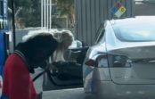 Episks video: blondīne mēģina iepildīt benzīnu Tesla S elektroauto Episks video: blondīne mēģina iepildīt benzīnu Tesla S elektroauto