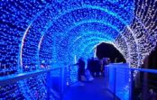 VIDEO: Jūrmalā atklāts lielākais ziemas Gaismas parks Latvijā VIDEO: Jūrmalā atklāts lielākais ziemas Gaismas parks Latvijā