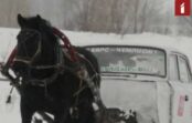 VIDEO: Soctīkli sajūsmā par krievu sādžas “zirgmobili” VIDEO: Soctīkli sajūsmā par krievu sādžas “zirgmobili”