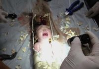 ŠAUSMINOŠI! Kāda māte aizskalo savu dzīvo mazuli podā. Noskaties kā glābēji izvelk mazuli ārā VIDEO