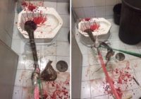 Šis vīrietis vienkārši devās uz tualeti. Tas, kas notika tālāk, līdzinās šausmu filmām! FOTO/ VIDEO