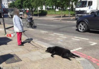 Sieviete pa Londonas ielām velk beigtu suni FOTO