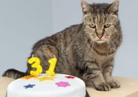 Pasaulē vecākajam kaķim nosvinēta 31. dzimšanas diena! FOTO