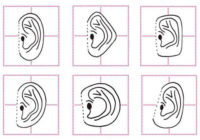 Uzziniet, ko ausu forma stāsta par jūsu personību!
