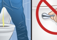 Lūk, kāpēc nedrīkst noskalot ūdeni uzreiz pēc nokārtošanas tualetē. Es šo nezināju!