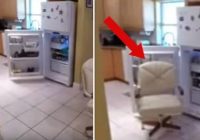 No ledusskapja regulāri pazuda ēdiens. Lai pieķertu vainīgo, tika uzstādīta kamera! VIDEO