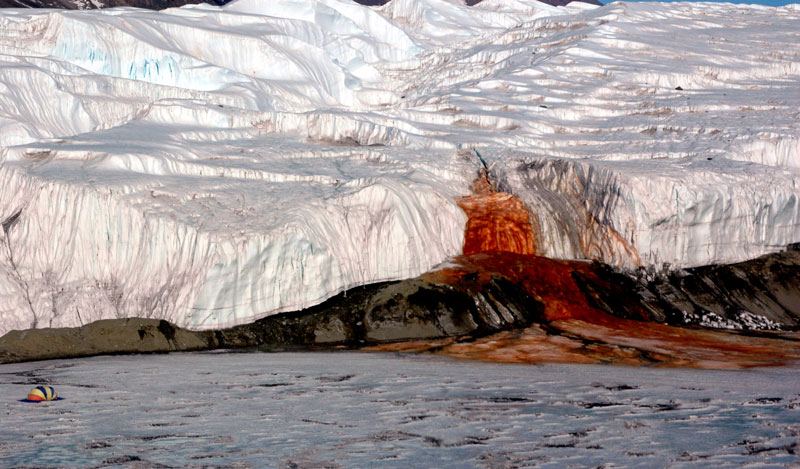 Kāpēc asiņo Antarktika? 106 gadus vecs noslēpums atklāts!