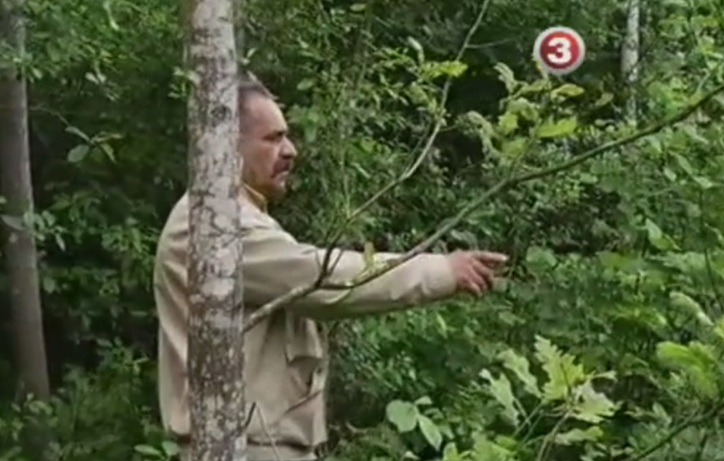“Viens dzīvoja, viens nomira”: Dubeņu mežzinis parāda vietu, kur mazais Ivans aizvadīja dzīves pēdējos mirkļus VIDEO