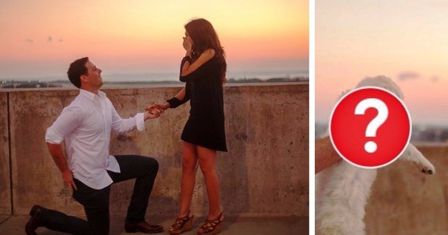 Puisis viņu romantiski bildināja, taču gredzens nebija vienīgais pārsteigums! VIDEO