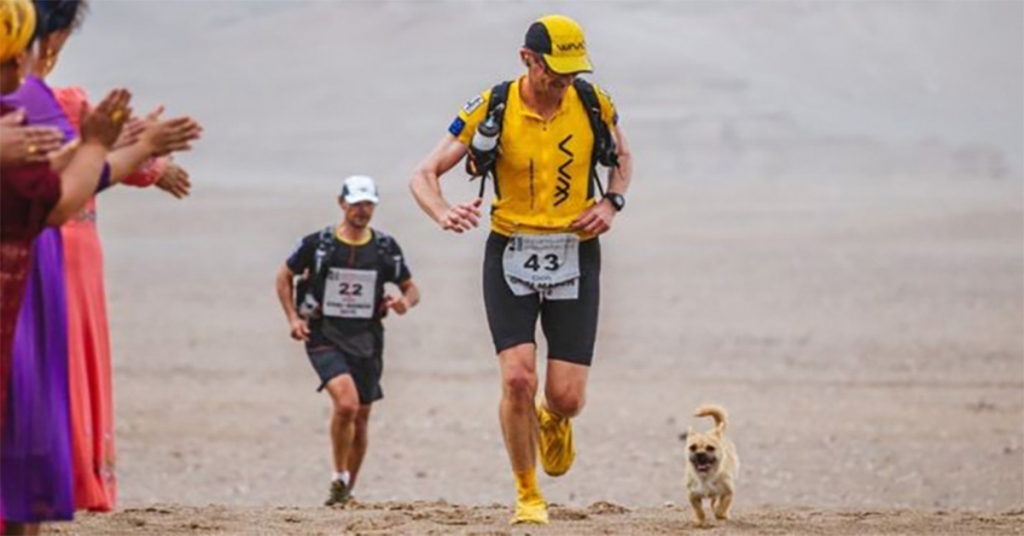 Šis suns kopā ar maratonistu noskrēja 100 km pāri tuksnesim. Lūk, kā izskatās kā patiesa uzticība! FOTO