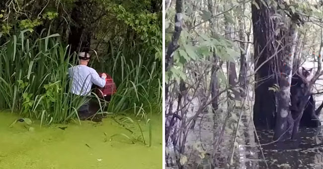 Vīrietis devās cauri aligatoru pilnam purvam, kad pēkšņi dzirdēja krūmos kādu raudam. VIDEO