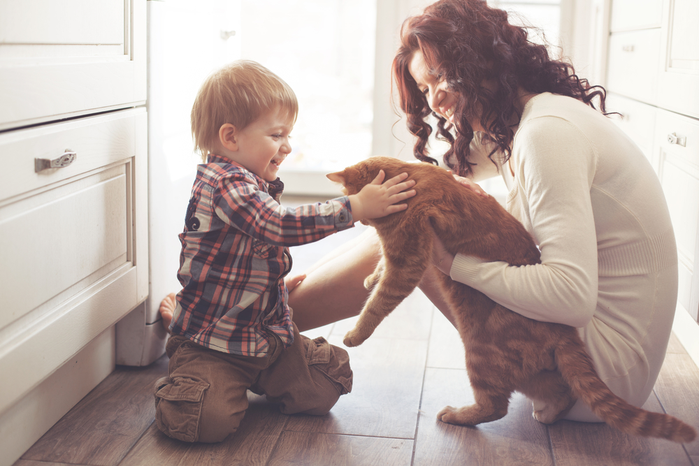 Pētījumi pierāda: bērniem, kas kontaktējas ar kaķiem, risks saslimt ar astmu mazinās