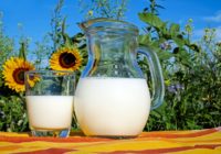 Piens ārstē! 11 ļoti senas dziednieku receptes