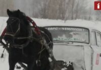 VIDEO: Soctīkli sajūsmā par krievu sādžas “zirgmobili”