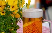 Alus Brālība: Ar liekulīgu svētulību baznīcas cilvēki Rīgā diktē noteikumus gluži kā viduslaikos Alus Brālība: Ar liekulīgu svētulību baznīcas cilvēki Rīgā diktē noteikumus gluži kā viduslaikos