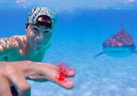 VIDEO: Vai haizivis tiešām sajūt mazu asins pilienu? To pārbauda nervus kutinošā eksperimentā