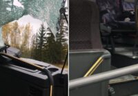 FOTO: Stirna Kurzemē ielec pa autobusa logu; šoferis “bezbiļetnieku” izlaiž pa durvīm