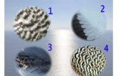 TESTS. Izvēlies attēla fragmentu un uzzini, kā tu izturies pret dzīvesvietu! TESTS. Izvēlies attēla fragmentu un uzzini, kā tu izturies pret dzīvesvietu!