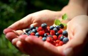 VIDEO: Toms Bricis paredz jaunus karstuma rekordus VIDEO: Toms Bricis paredz jaunus karstuma rekordus